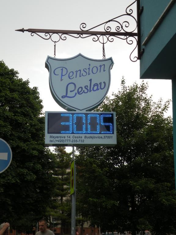 Penzion- Leslav Ceske Budejovice Dış mekan fotoğraf
